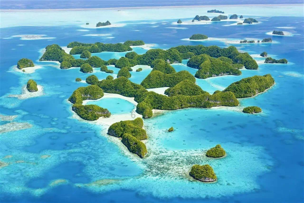 拯救小松鼠
