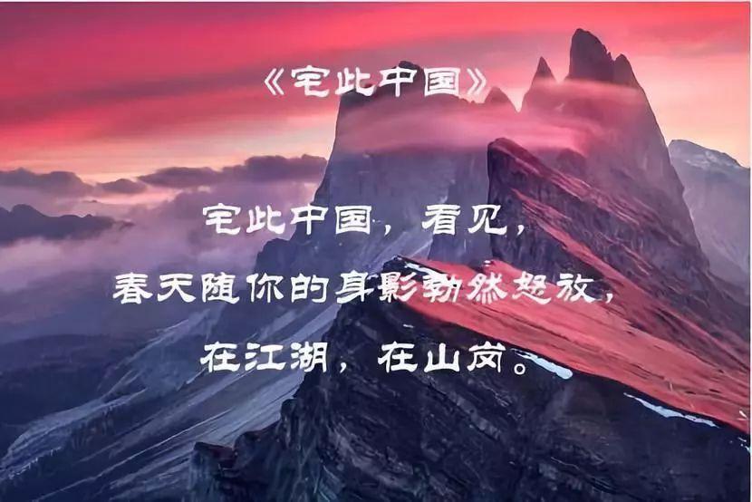 奥利维亚收养猫